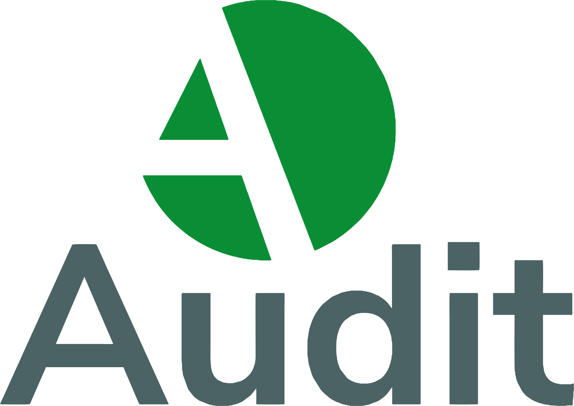 Logo Audit